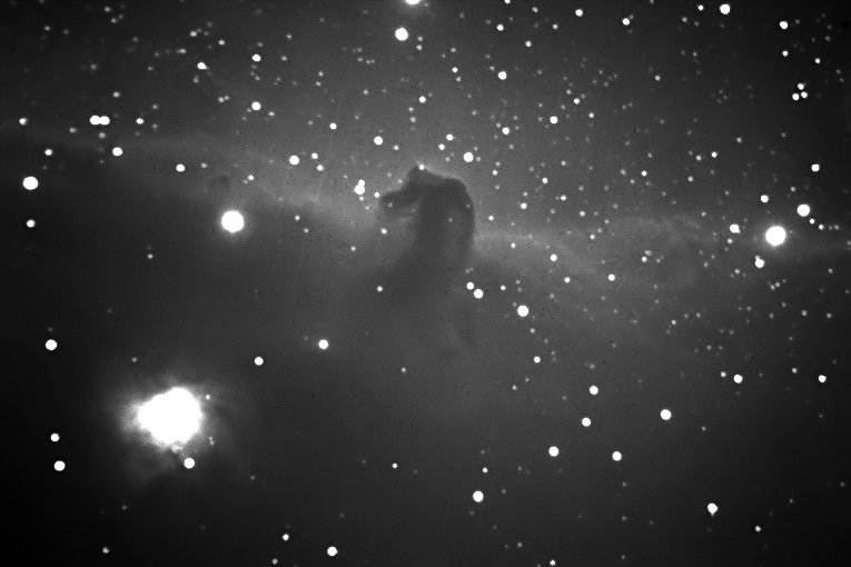 Horse head nebula in Orion